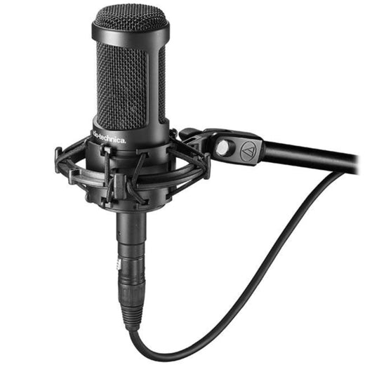 Audio-Technica AT2035 accessoires