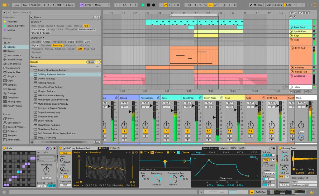 Ableton Live 12 Standard (Upgrade from Live Lite)